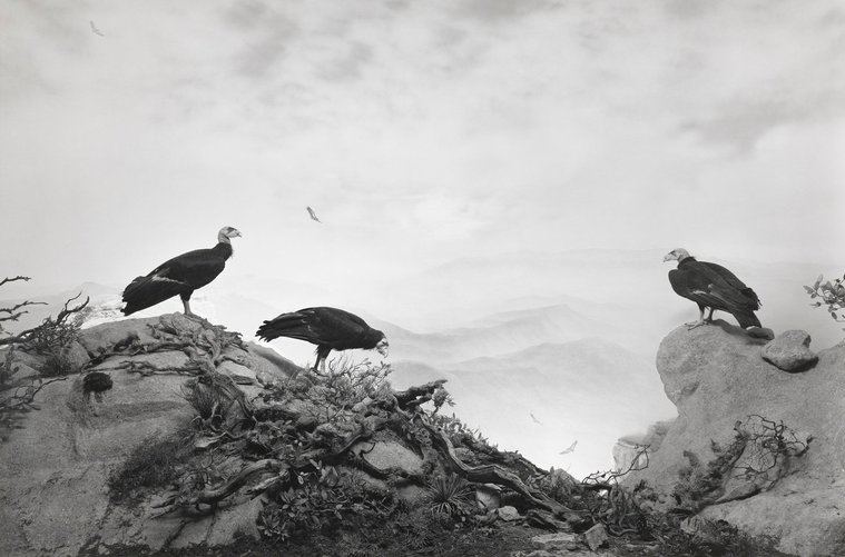 Hiroshi Sugimoto y sus cuadros